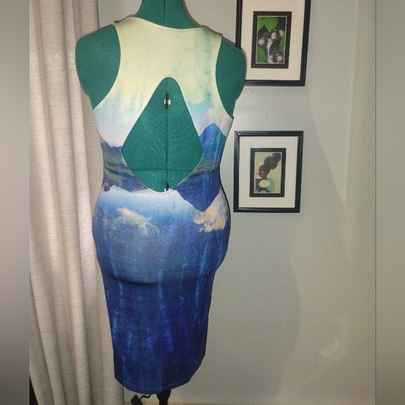 Beyonce as Mrs. Carter x H&M Blue Mountain Lake Tank Bodycon Dress Sz M - Picture 5 of 6